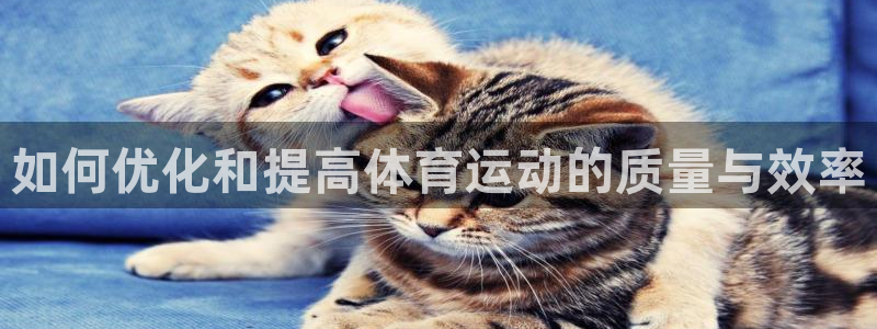 哈哈体育下载：如何优化和提高体育运动的质量与效率