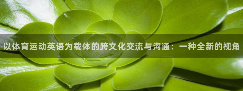 哈哈体育十年：以体育运动英语为载体的跨文化交流与沟通：一种全新的视角