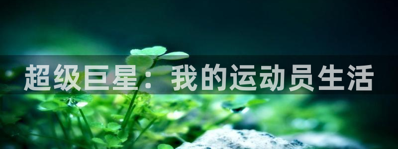哈哈体育：超级巨星：我的运动员生活