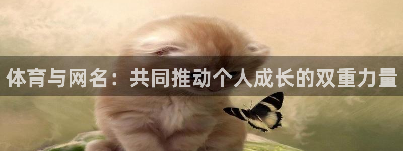 哈哈体育十年：体育与网名：共同推动个人成长的双重力量
