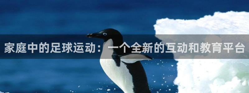 哈哈体育下载：家庭中的足球运动：一个全新的互动和教育平台