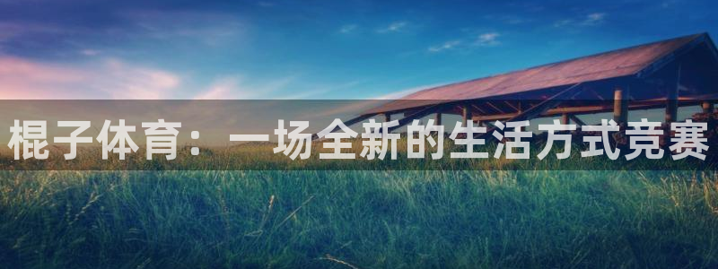 哈哈体育十年：棍子体育：一场全新的生活方式竞赛